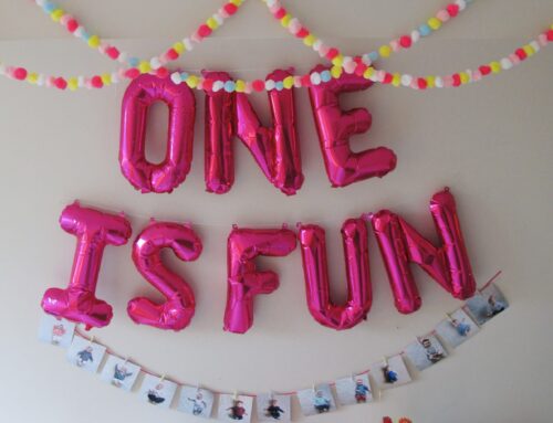 Surviving the First Year & Happy Birthday Little One!