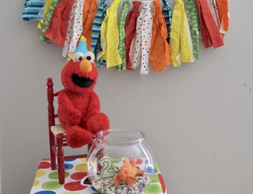 8 Decor Ideas for a Sesame Street Party